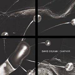 David Sylvian : Camphor